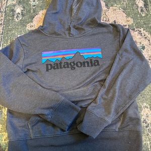 Boys Patagonia Hoodie